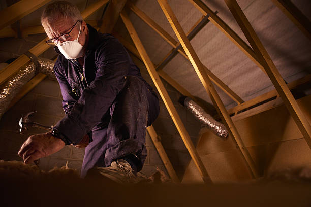 Best Insulation Installation Services in Monteagle, TN